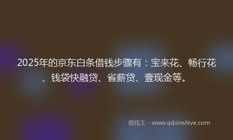 2025年的京东白条借钱步骤有：宝来花、畅行花、钱袋快融贷、省薪贷、壹现金等。