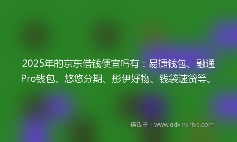 2025年的京东借钱便宜吗有：易捷钱包、融通Pro钱包、悠悠分期、彤伊好物、钱袋速贷等。