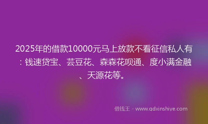 2025年的借款10000元马上放款不看征信私人有：钱速贷宝、芸豆花、森森花呗通、度小满金融、天源花等。