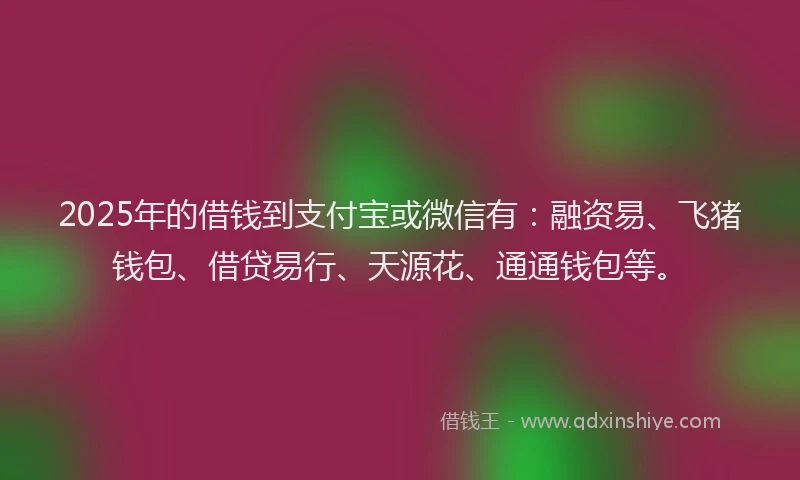 2025年的借钱到支付宝或微信有：融资易、飞猪钱包、借贷易行、天源花、通通钱包等。