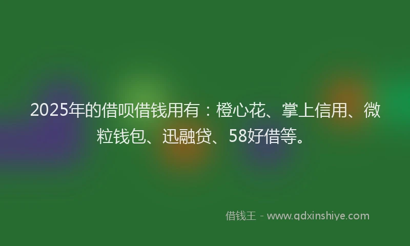 2025年的借呗借钱用有：橙心花、掌上信用、微粒钱包、迅融贷、58好借等。