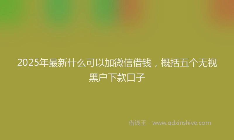 2025年最新什么可以加微信借钱，概括五个无视黑户下款口子