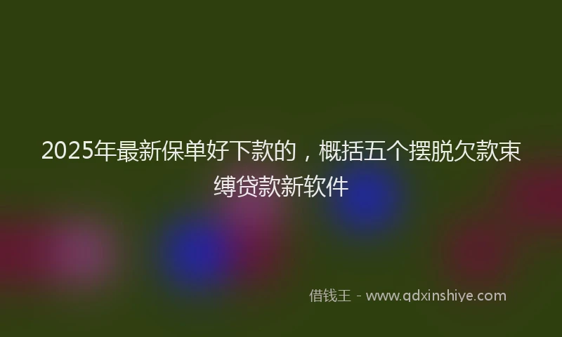 2025年最新保单好下款的，概括五个摆脱欠款束缚贷款新软件