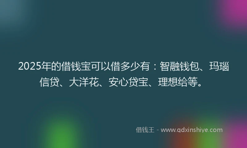 2025年的借钱宝可以借多少有：智融钱包、玛瑙信贷、大洋花、安心贷宝、理想给等。
