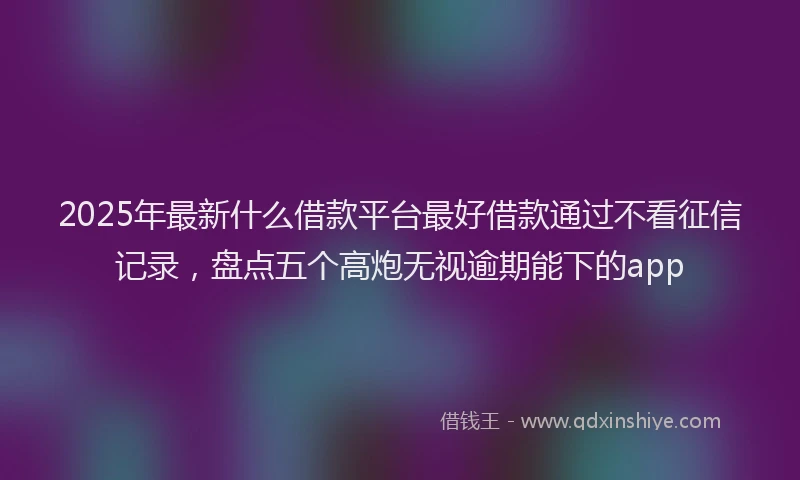 2025年最新什么借款平台最好借款通过不看征信记录，盘点五个高炮无视逾期能下的app