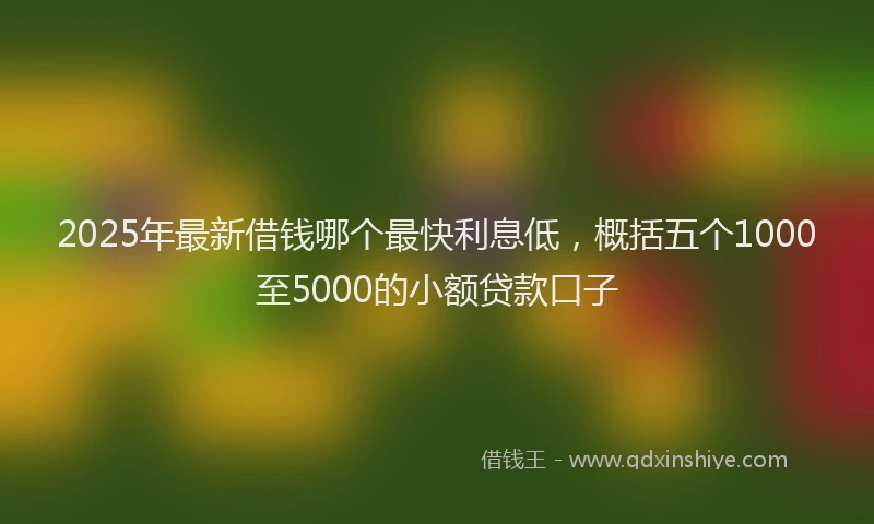 2025年最新借钱哪个最快利息低，概括五个1000至5000的小额贷款口子