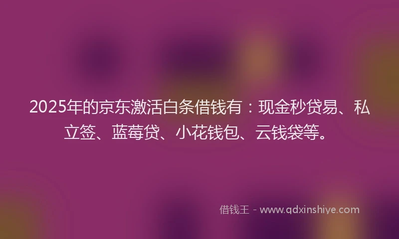 2025年的京东激活白条借钱有：现金秒贷易、私立签、蓝莓贷、小花钱包、云钱袋等。