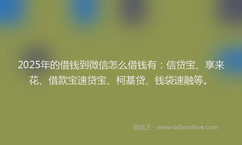 2025年的借钱到微信怎么借钱有：信贷宝、享来花、借款宝速贷宝、柯基贷、钱袋速融等。