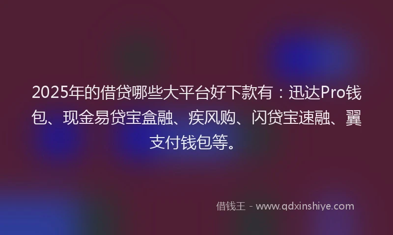 2025年的借贷哪些大平台好下款有：迅达Pro钱包、现金易贷宝盒融、疾风购、闪贷宝速融、翼支付钱包等。
