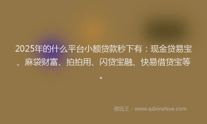 2025年的什么平台小额贷款秒下有：现金贷易宝、麻袋财富、拍拍用、闪贷宝融、快易借贷宝等。