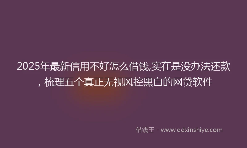 2025年最新信用不好怎么借钱,实在是没办法还款，梳理五个真正无视风控黑白的网贷软件