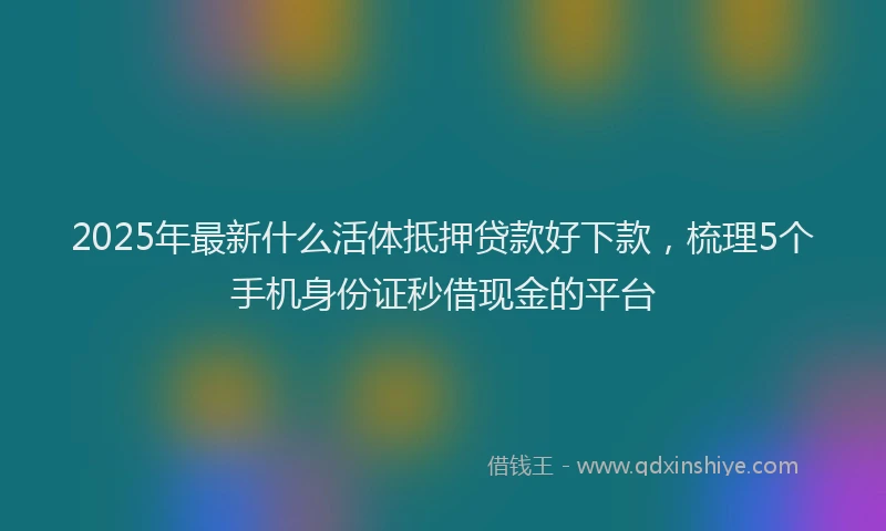 2025年最新什么活体抵押贷款好下款，梳理5个手机身份证秒借现金的平台