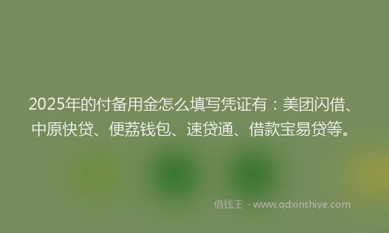 2025年的付备用金怎么填写凭证有：美团闪借、中原快贷、便荔钱包、速贷通、借款宝易贷等。