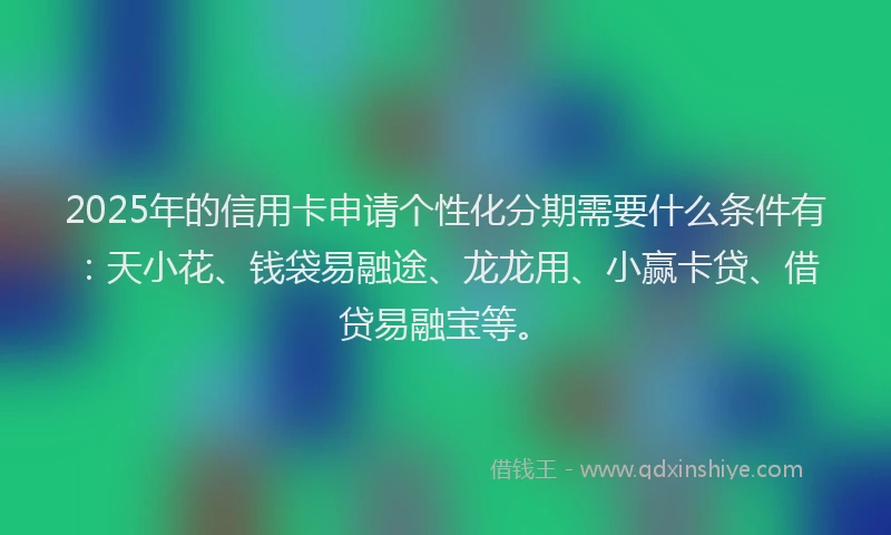 2025年的信用卡申请个性化分期需要什么条件有：天小花、钱袋易融途、龙龙用、小赢卡贷、借贷易融宝等。