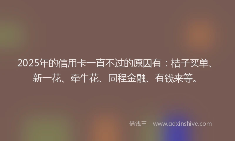 2025年的信用卡一直不过的原因有：桔子买单、新一花、牵牛花、同程金融、有钱来等。