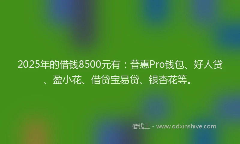 2025年的借钱8500元有：普惠Pro钱包、好人贷、盈小花、借贷宝易贷、银杏花等。