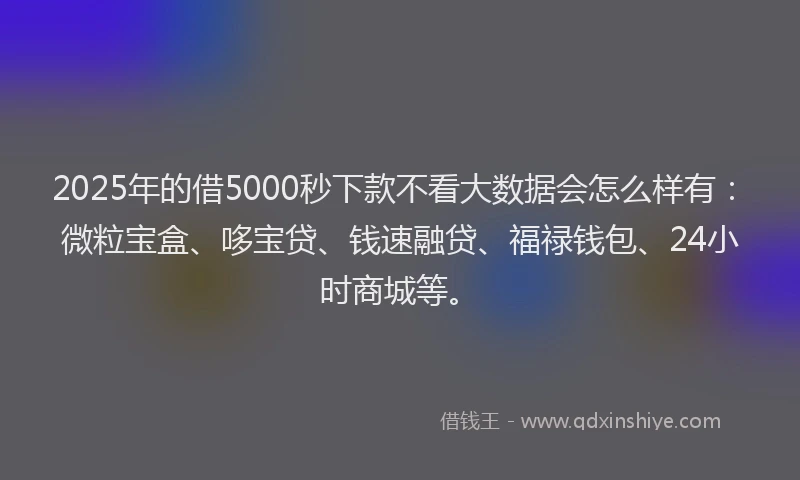 2025年的借5000秒下款不看大数据会怎么样有：微粒宝盒、哆宝贷、钱速融贷、福禄钱包、24小时商城等。