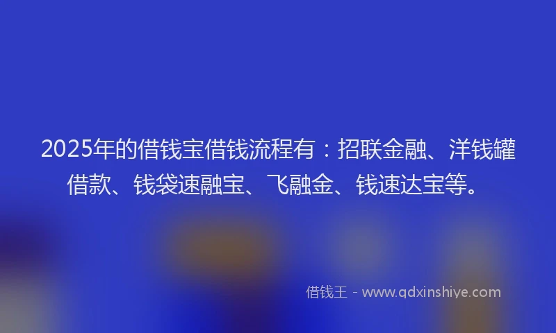 2025年的借钱宝借钱流程有：招联金融、洋钱罐借款、钱袋速融宝、飞融金、钱速达宝等。