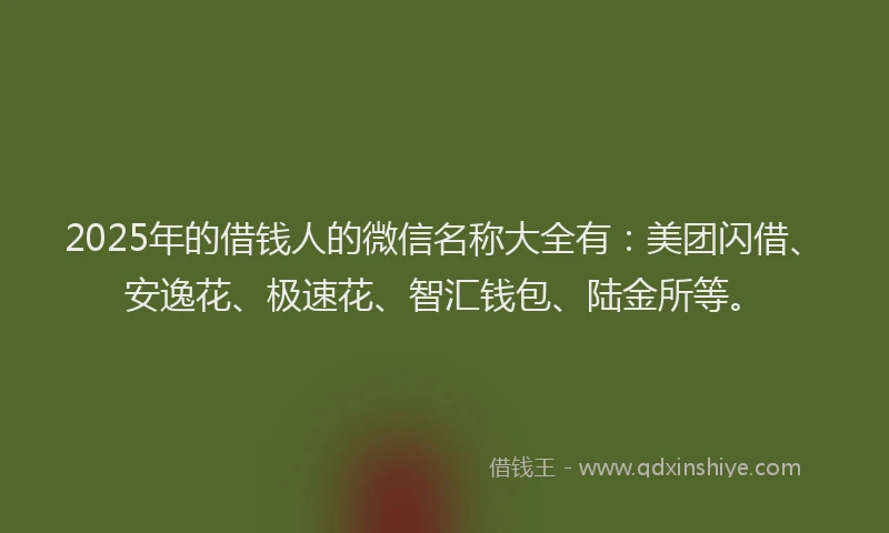 2025年的借钱人的微信名称大全有：美团闪借、安逸花、极速花、智汇钱包、陆金所等。