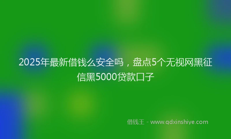 2025年最新借钱么安全吗，盘点5个无视网黑征信黑5000贷款口子