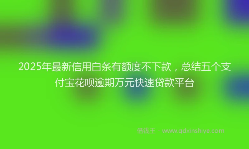 2025年最新信用白条有额度不下款，总结五个支付宝花呗逾期万元快速贷款平台