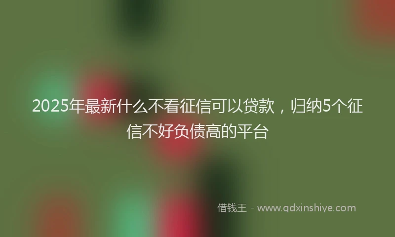 2025年最新什么不看征信可以贷款，归纳5个征信不好负债高的平台
