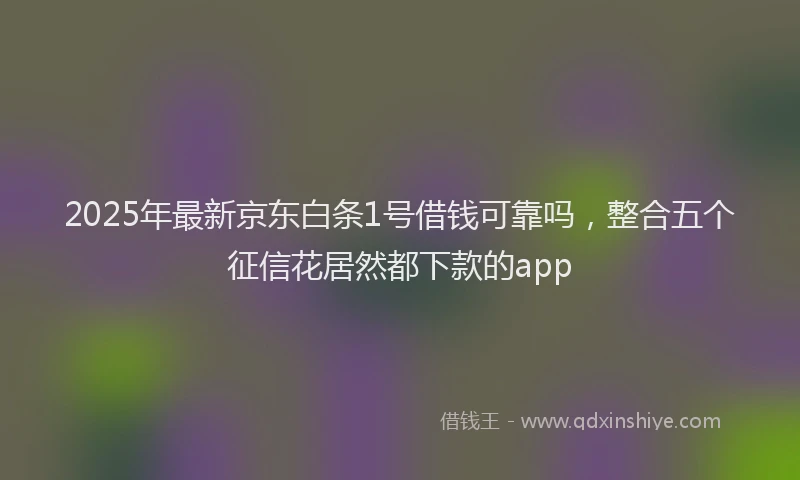 2025年最新京东白条1号借钱可靠吗，整合五个征信花居然都下款的app