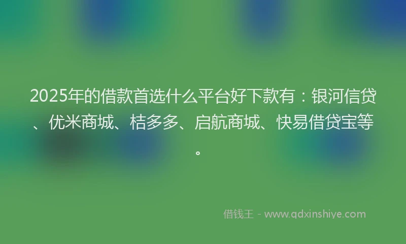 2025年的借款首选什么平台好下款有：银河信贷、优米商城、桔多多、启航商城、快易借贷宝等。