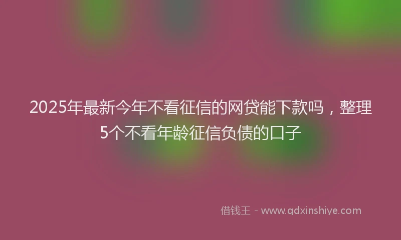 2025年最新今年不看征信的网贷能下款吗，整理5个不看年龄征信负债的口子