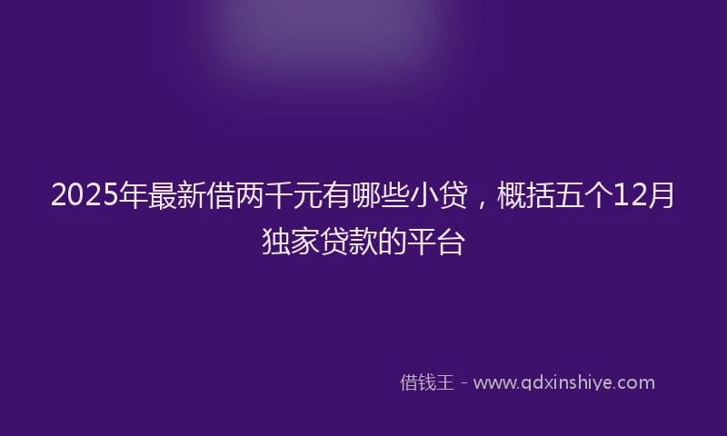 2025年最新借两千元有哪些小贷，概括五个12月独家贷款的平台