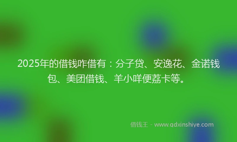2025年的借钱咋借有：分子贷、安逸花、金诺钱包、美团借钱、羊小咩便荔卡等。