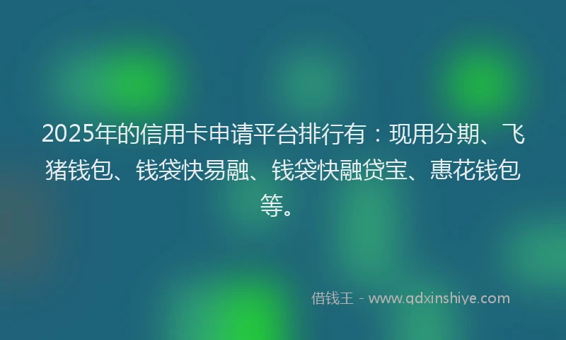 2025年的信用卡申请平台排行有：现用分期、飞猪钱包、钱袋快易融、钱袋快融贷宝、惠花钱包等。