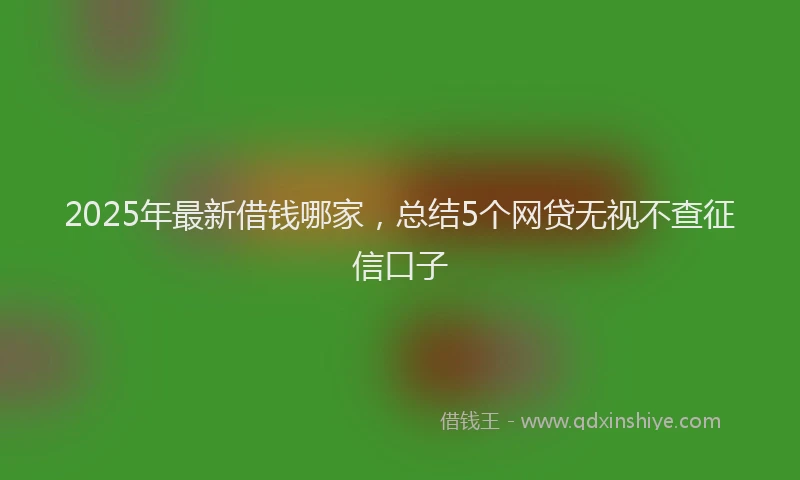 2025年最新借钱哪家，总结5个网贷无视不查征信口子