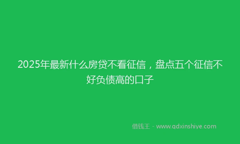 2025年最新什么房贷不看征信，盘点五个征信不好负债高的口子