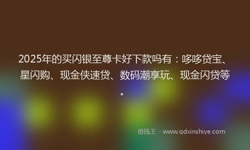 2025年的买闪银至尊卡好下款吗有：哆哆贷宝、星闪购、现金侠速贷、数码潮享玩、现金闪贷等。