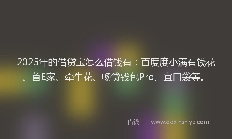 2025年的借贷宝怎么借钱有：百度度小满有钱花、首E家、牵牛花、畅贷钱包Pro、宜口袋等。