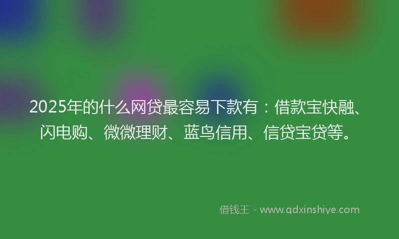 2025年的什么网贷最容易下款有：借款宝快融、闪电购、微微理财、蓝鸟信用、信贷宝贷等。