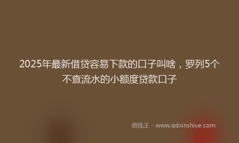 2025年最新借贷容易下款的口子叫啥，罗列5个不查流水的小额度贷款口子