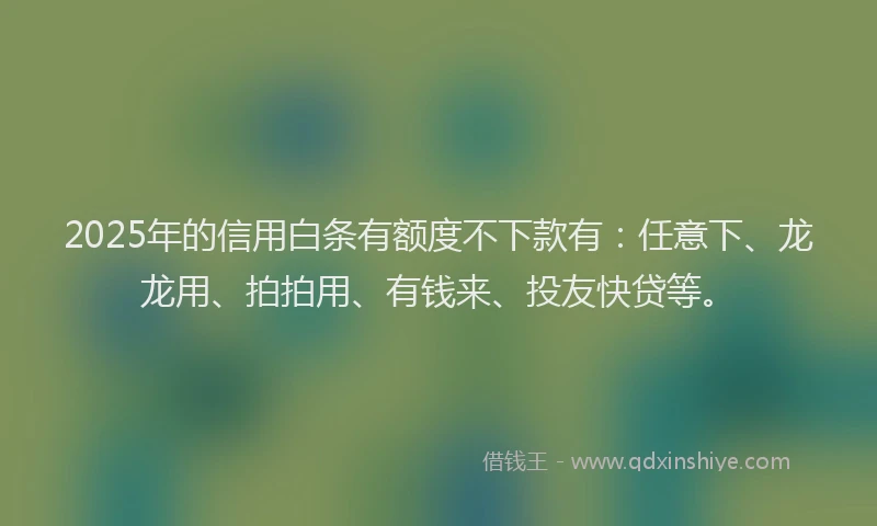2025年的信用白条有额度不下款有：任意下、龙龙用、拍拍用、有钱来、投友快贷等。