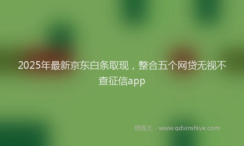 2025年最新京东白条取现，整合五个网贷无视不查征信app