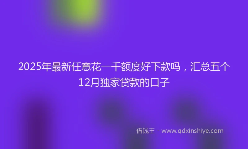 2025年最新任意花一千额度好下款吗，汇总五个12月独家贷款的口子