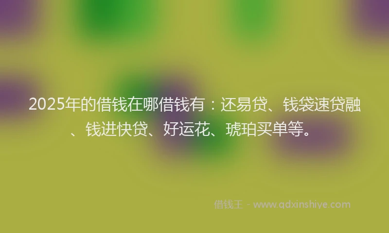 2025年的借钱在哪借钱有：还易贷、钱袋速贷融、钱进快贷、好运花、琥珀买单等。