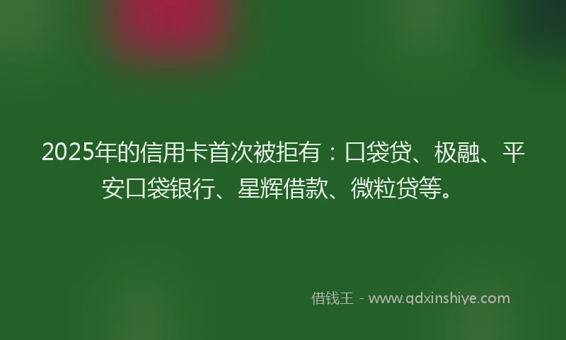 2025年的信用卡首次被拒有：口袋贷、极融、平安口袋银行、星辉借款、微粒贷等。