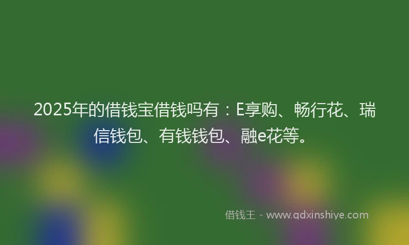 2025年的借钱宝借钱吗有：E享购、畅行花、瑞信钱包、有钱钱包、融e花等。