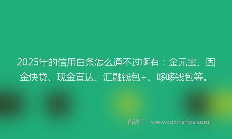 2025年的信用白条怎么通不过啊有：金元宝、固金快贷、现金直达、汇融钱包+、哆哆钱包等。