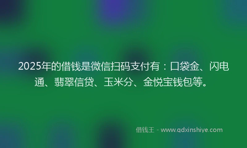 2025年的借钱是微信扫码支付有：口袋金、闪电通、翡翠信贷、玉米分、金悦宝钱包等。
