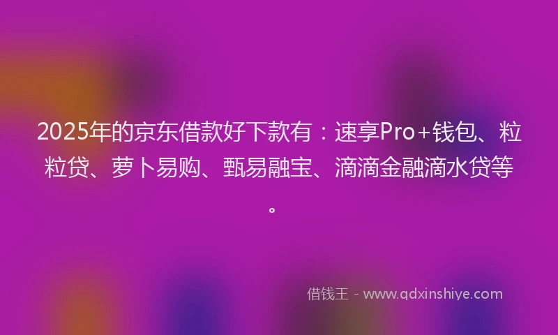2025年的京东借款好下款有：速享Pro+钱包、粒粒贷、萝卜易购、甄易融宝、滴滴金融滴水贷等。