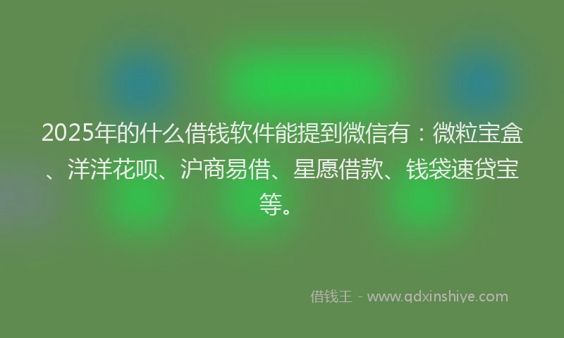 2025年的什么借钱软件能提到微信有：微粒宝盒、洋洋花呗、沪商易借、星愿借款、钱袋速贷宝等。