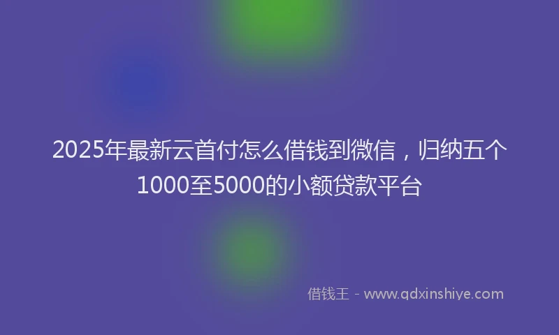 2025年最新云首付怎么借钱到微信，归纳五个1000至5000的小额贷款平台