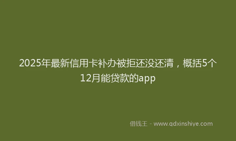 2025年最新信用卡补办被拒还没还清，概括5个12月能贷款的app